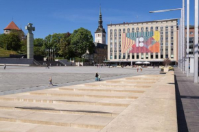 Veerenni studio, modern & central. in Tallinn